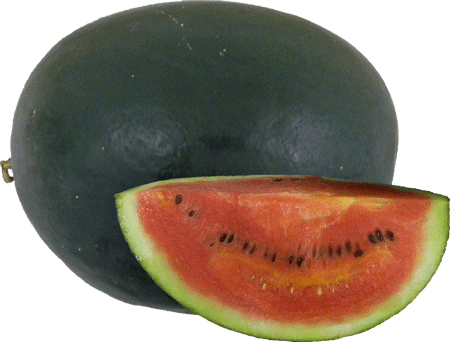 rozkrojený meloun